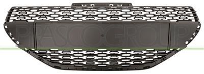 RADIATOR GRILLE-BLACK