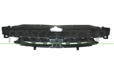 RADIATOR GRILLE
