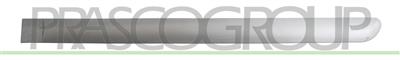 REAR DOOR MOLDING LEFT-SMOOTH-GRAY-WITH CLIPS MOD. 5 DOOR