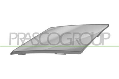 RADIATOR GRILLE MOLDING LEFT-CHROME