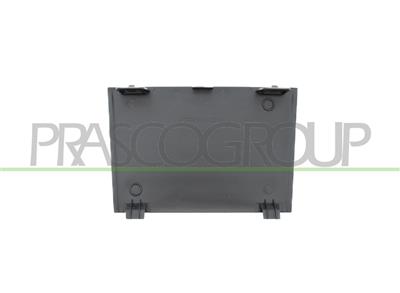 TAPPO GRIGLIA PARAURTI ANTERIORE-CENTRALE-FUNZIONE CRUISE-CONTROL
