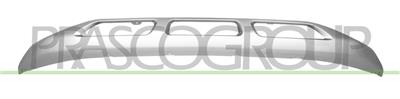 SPOILER CENTRAL PARACHOQUES DELANTERO-PINTADO-GRIS