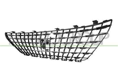 RADIATOR GRILLE-BLACK-WITH CHROME MOLDINGS