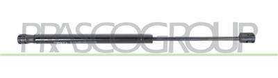 AMORTIGUADOR DE MALETERO DERECHO/IZQUIERDO PORTON TRASERO - 500 N - L 419 mm - C 160 mm - Ø 18 mm - Ø 8 mm