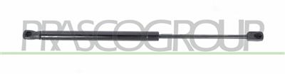 AMORTIGUADOR DE MALETERO DERECHO/IZQUIERDO PORTON TRASERO - 500 N - L 419 mm - C 160 mm - Ø 18 mm - Ø 8 mm