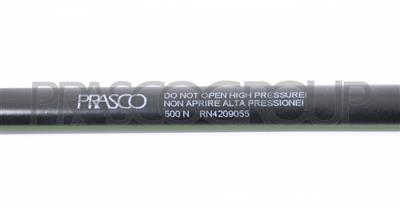 AMORTIGUADOR DE MALETERO DERECHO/IZQUIERDO PORTON TRASERO - 500 N - L 419 mm - C 160 mm - Ø 18 mm - Ø 8 mm