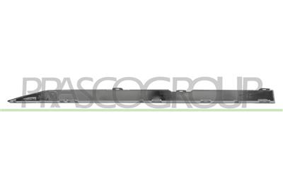 REAR DOOR PROFILE LEFT-CHROME