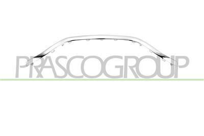 RADIATOR GRILLE MOLDING-LOWER-CHROME