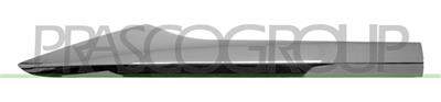 REAR DOOR PROFILE RIGHT-CHROME