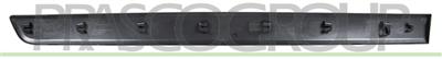 FRONT DOOR MOLDING-RIGHT-WITH CLIPS-BLACK-TEXTURED FINISH