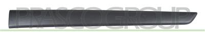 BANDEAU DE PORTE ARRIERE GAUCHE-AVEC CLIPS-NOIR STRUCTURE'