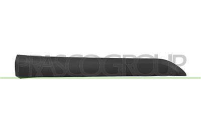 FRONT RIGHT DOOR MOULDING-BLACK