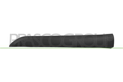 FRONT LEFT DOOR MOULDING-BLACK