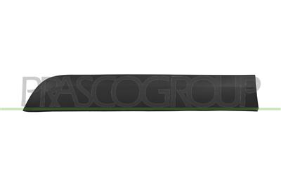 REAR RIGHT DOOR MOULDING-BLACK