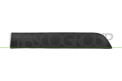REAR LEFT DOOR MOLDING-BLACK-TEXTURED FINISH