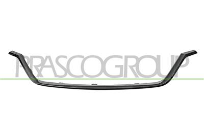 RADIATOR GRILLE MOLDING-LOWER-CHROME