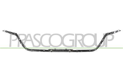 RADIATOR GRILLE MOLDING-LOWER-CHROME