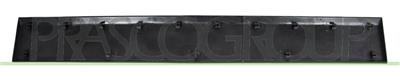 REAR DOOR SIDE MOLDING LEFT-BLACK-TEXTURED FINISH-WITH CLIPS MOD. MEDIUM/LONG WHEELBASE