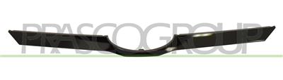 RADIATOR GRILLE MOLDING-BLACK-GLOSSY