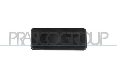 BACK DOOR HANDLE-OUTER-BLACK WITH MICROSWITCH