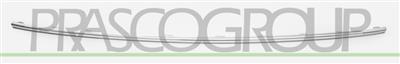 GRILLE MOLDING-CENTRE-CHROME