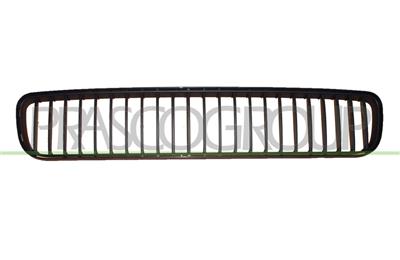 FRONT BUMPER GRILLE-CENTRE-BLACK