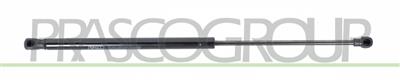 TAILGATE GAS SPRING RIGHT/LEFT-320 N-L 500 mm-S 205 mm-Ø 18 mm-Ø 8 mm MOD. 5 DOOR