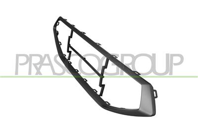 RADIATOR GRILLE FRAME-BLACK