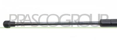 TAILGATE GAS SPRING LEFT - 245 N - L 502,5 mm - S 192,5 mm - Ø 18 mm - Ø 8 mm