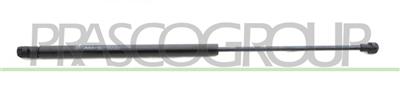 GASDRUCKFEDER HECKKLAPPE RECHTS/LINKS - 380 N - L 500 mm - H 205 mm - Ø 18 mm - Ø 8 mm
