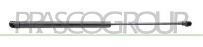 GASDRUCKFEDER HECKKLAPPE RECHTS/LINKS - 380 N - L 500 mm - H 205 mm - Ø 18 mm - Ø 8 mm