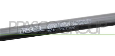 GASDRUCKFEDER HECKKLAPPE RECHTS/LINKS - 380 N - L 500 mm - H 205 mm - Ø 18 mm - Ø 8 mm