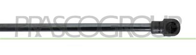 GASDRUCKFEDER HECKKLAPPE RECHTS UND LINKS-350 N-L 500 mm-H 205 mm-Ø 18 mm-Ø 8 mm