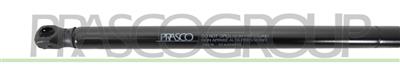 GASDRUCKFEDER HECKKLAPPE RECHTS UND LINKS-350 N-L 500 mm-H 205 mm-Ø 18 mm-Ø 8 mm