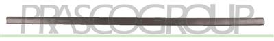 MOLDURA PUERTA DELANTERA IZQUIERDA NEGRO/GRANULADO