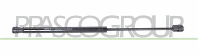 AMORTIGUADOR DE MALETERO DERECHO/IZQUIERDO PORTON TRASERO - 535 N - L 450 mm - C 178 mm - Ø 18 mm - Ø 8 mm