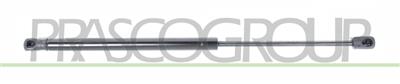 AMORTIGUADOR DE MALETERO DERECHO/IZQUIERDO PORTON TRASERO - 535 N - L 450 mm - C 178 mm - Ø 18 mm - Ø 8 mm