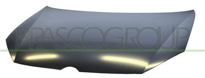BONNET-WITH GAS STRUT