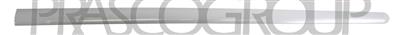 FRONT DOOR MOLDING LEFT-SMOOTH GRAY FINISH-WITH DOUBLE SIDED TAPE MOD. 5 DOOR