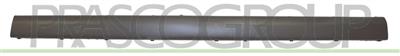 MOLDURA CENTRAL PARACHOQUES DELANTERO MOD. 4 PUERTAS
