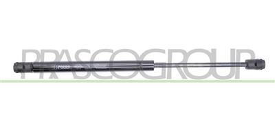 TAILGATE GAS SPRING RIGHT/LEFT - 420 N - L 366 mm - S 229 mm - Ø 18 mm - Ø 8 mm