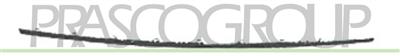 GRILLE HOLDER-LOWER