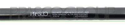 GASDRUCKFEDER HECKKLAPPE RECHTS/LINKS - 520 N - L 531,5 mm - H 182 mm - Ø 18 mm - Ø 8 mm