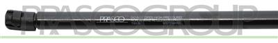 AMORTIGUADOR DE CAPO DERECHO/IZQUIERDO - 780 N - L 500 mm - C 152 mm - Ø 18 mm - Ø 8 mm