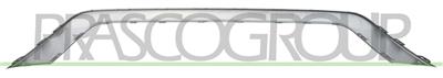 REAR BUMPER MOLDING-LOWER-SILVER