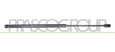 AMORTIGUADOR DE MALETERO DERECHO/IZQUIERDO PORTON TRASERO - 500 N - L 494 mm - C 192 mm - Ø 18 mm - Ø 8 mm
