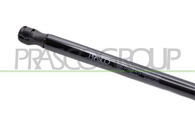 AMORTIGUADOR DE MALETERO DERECHO/IZQUIERDO PORTON TRASERO - 500 N - L 494 mm - C 192 mm - Ø 18 mm - Ø 8 mm