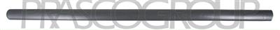 FRONT RIGHT DOOR MOLDING-BLACK-TEXTURED FINISH