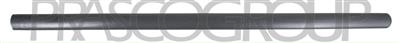 FRONT LEFT DOOR MOLDING-BLACK-TEXTURED FINISH