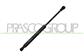 MOLLA A GAS DESTRA/SINISTRA PORTELLONE POSTERIORE - 380 N - L 291,5 mm - C 107 mm - Ø 18 mm - Ø 8 mm